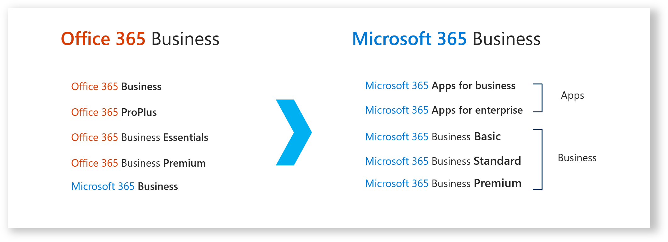 Microsoft 365속에 Office 365있다?!